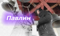 2025.02.05 – 01 Павли́н.jpg 